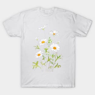 white Margaret daisy ink and watercolor T-Shirt